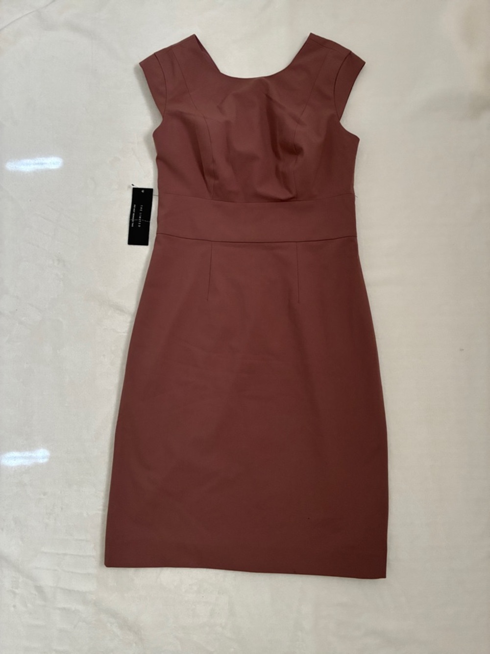 The Limited NWT Eggplant dress